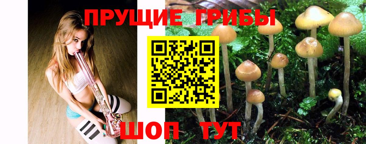 Галлюциногенные грибы GOLDEN TEACHER Белая Калитва
